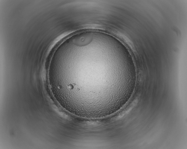 X0000111131125200906301204