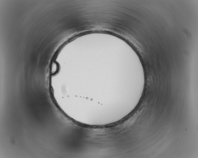 X0000111131126200906301205