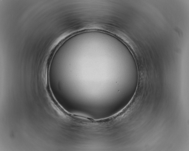 X0000111131127200906301205