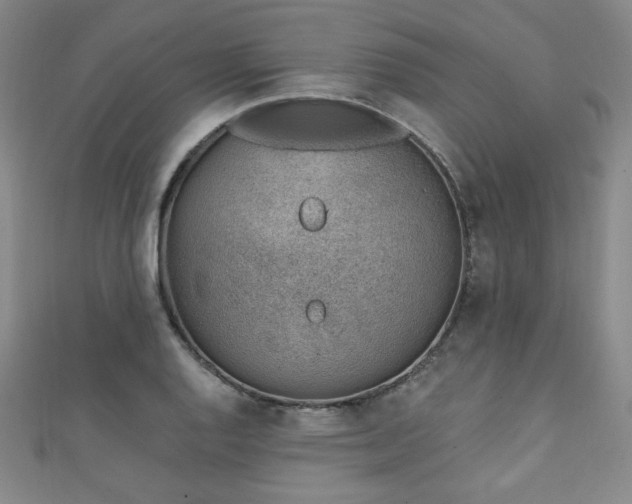 X0000111131128200906301205
