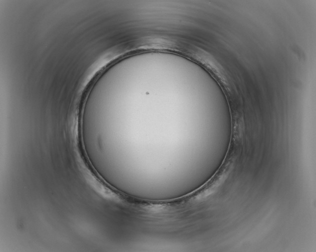 X0000111131130200906301205