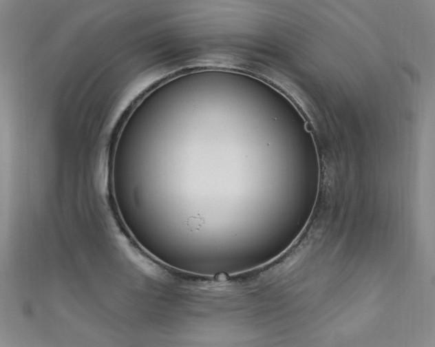 X0000111131131200906301205