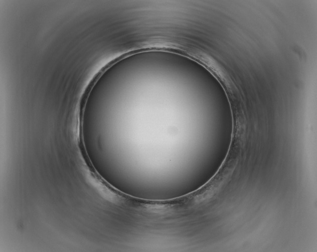 X0000111131132200906301205