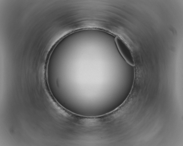 X0000111131134200906301205