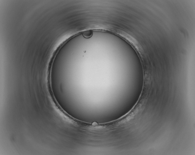 X0000111131135200906301205