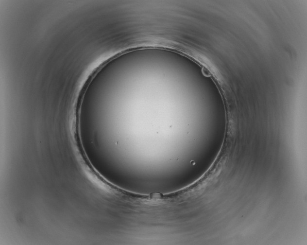 X0000111131136200906301205