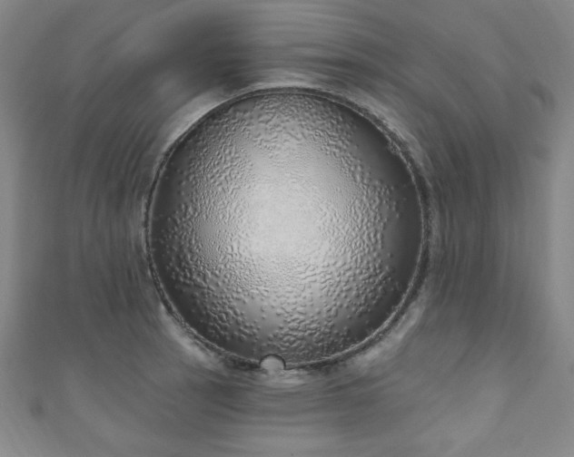 X0000111131137200906301205