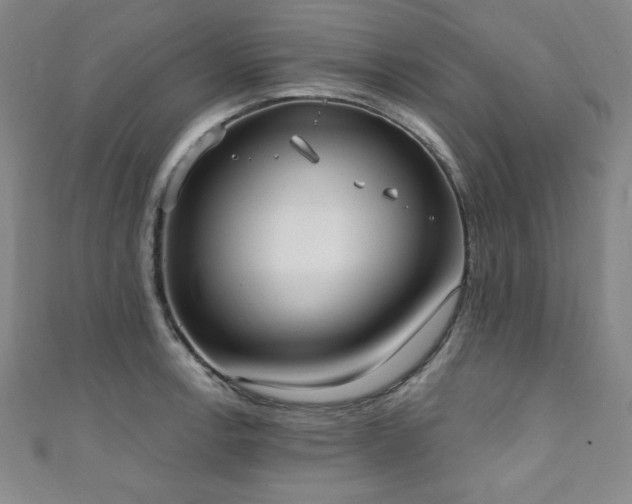 X0000111131138200906301205