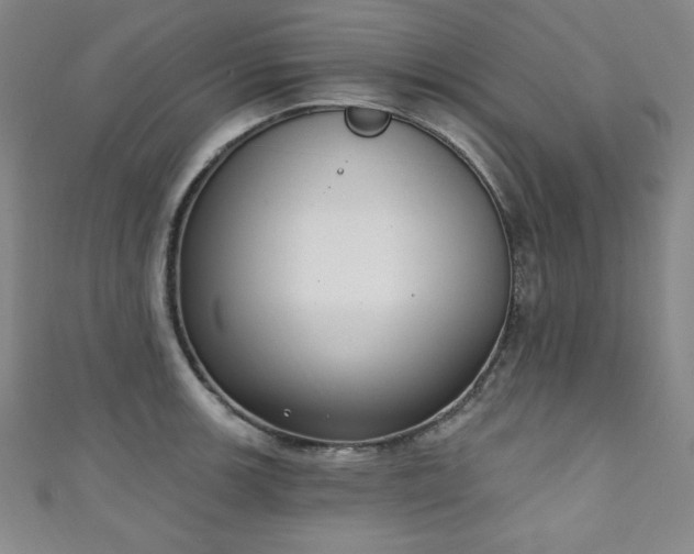 X0000111131139200906301205