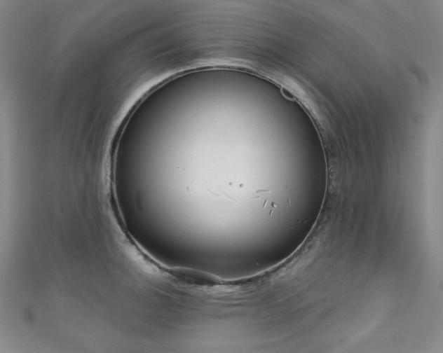 X0000111131140200906301205