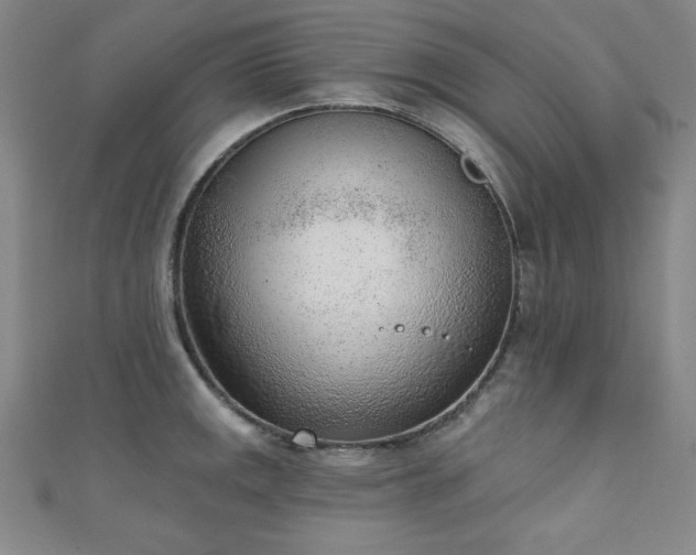 X0000111131141200906301205