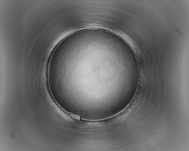 X0000111131142200906301205