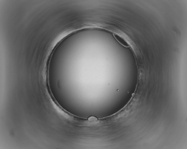 X0000111131143200906301205