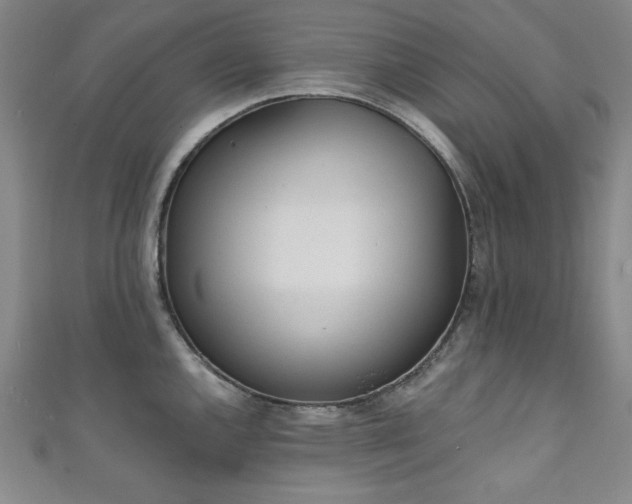 X0000111131144200906301205