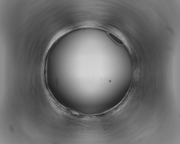 X0000111131146200906301205