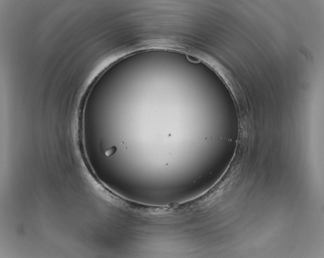 X0000111131147200906301205