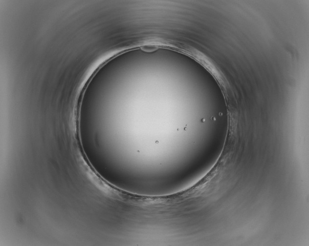 X0000111131148200906301205