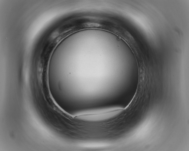 X0000111131151200906301205