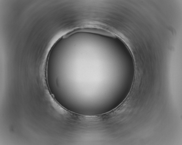 X0000111131152200906301205
