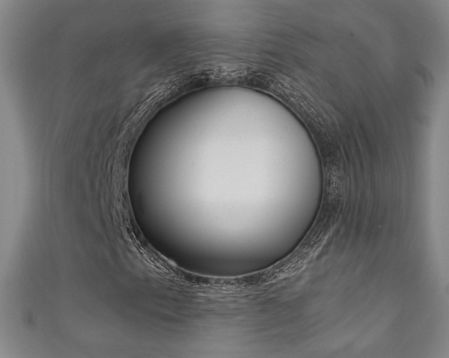 X0000111131153200906301204