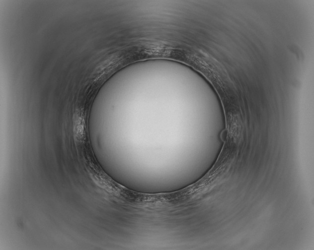 X0000111131154200906301204