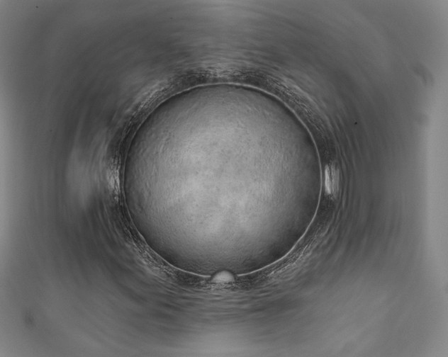 X0000111131155200906301204