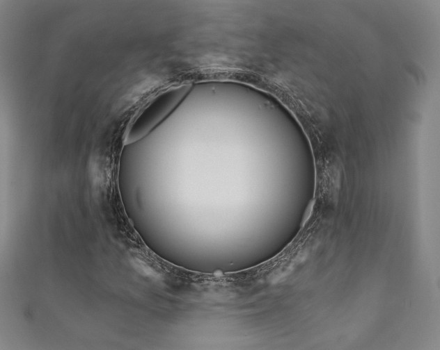 X0000111131157200906301204