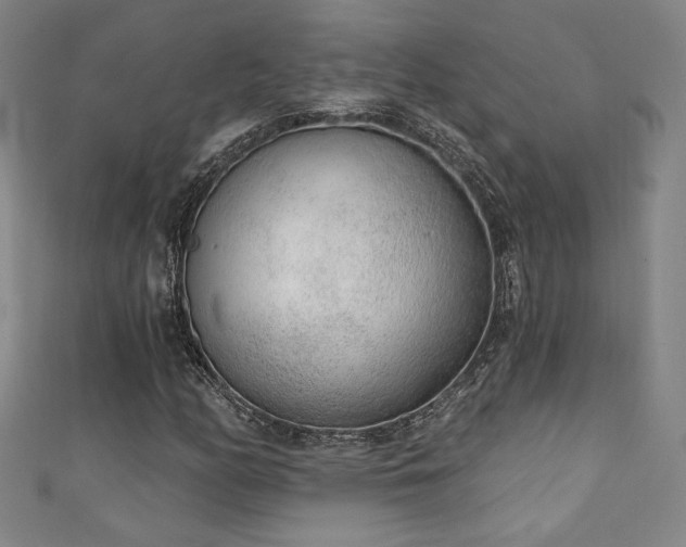 X0000111131158200906301204