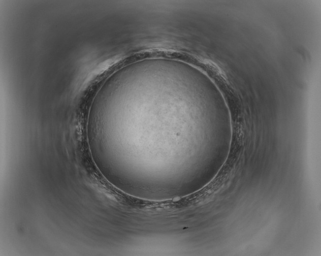 X0000111131159200906301204