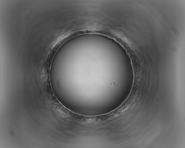 X0000111131160200906301204
