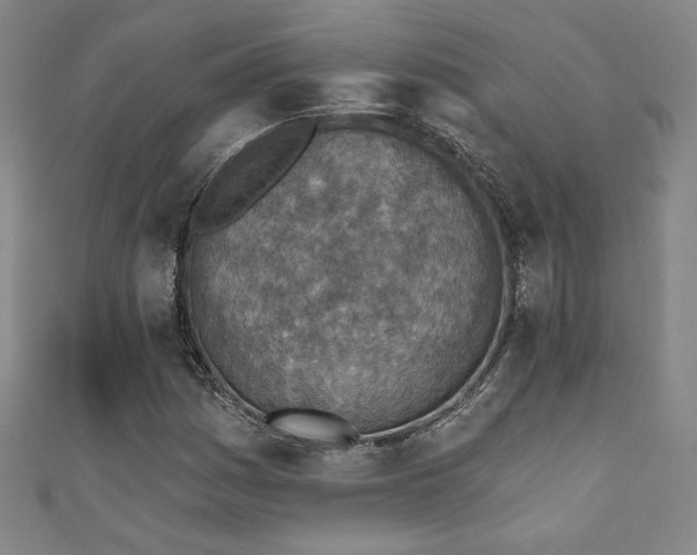 X0000111131161200906301204