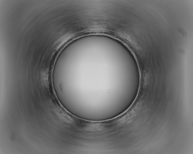 X0000111131162200906301204