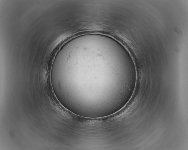 X0000111131163200906301204