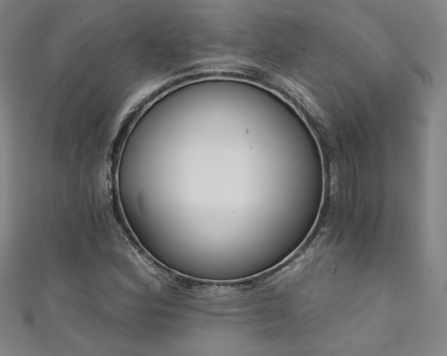 X0000111131164200906301204