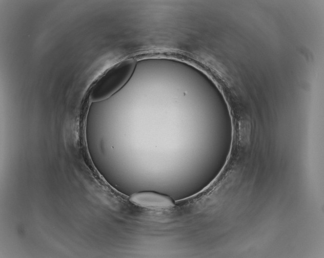 X0000111131165200906301204