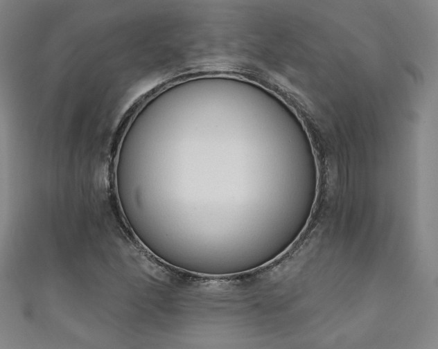 X0000111131166200906301204