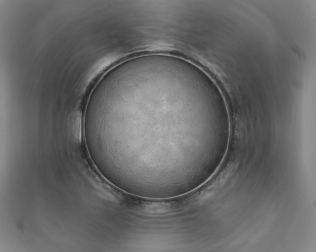 X0000111131171200906301204