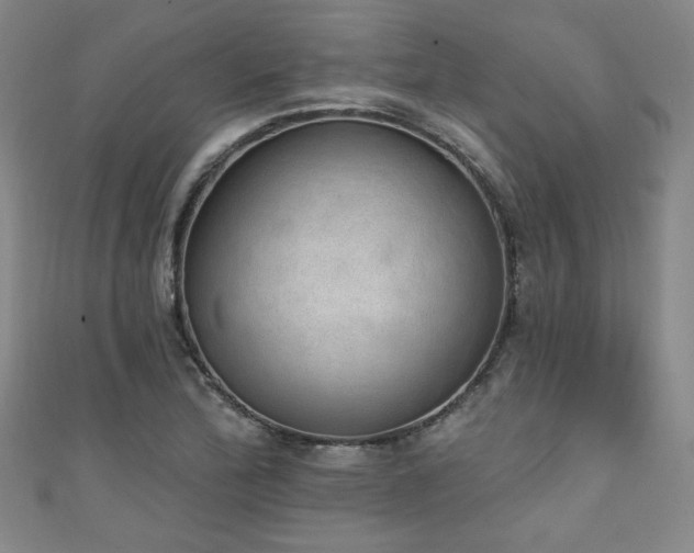 X0000111131172200906301204