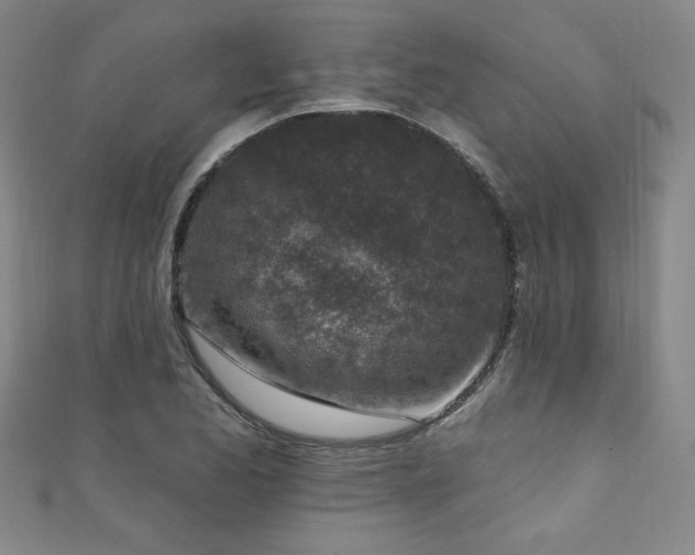 X0000111131173200906301204