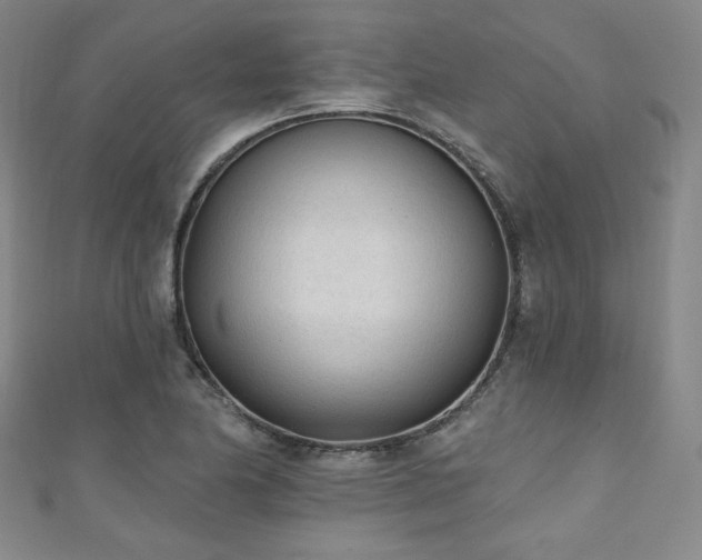 X0000111131174200906301204