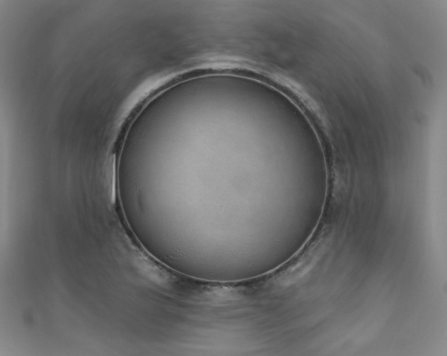 X0000111131175200906301204