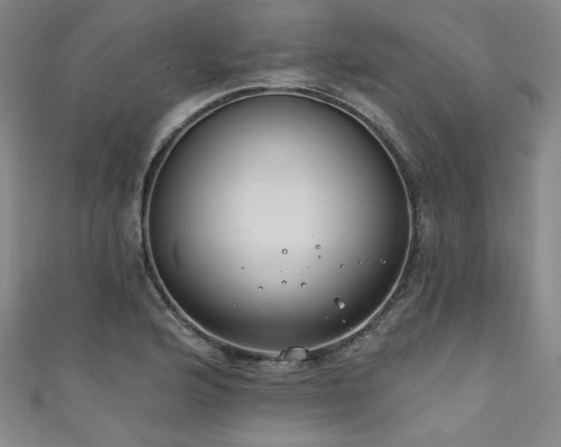 X0000111131176200906301204