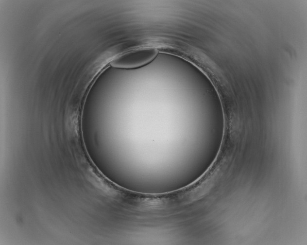 X0000111131177200906301204