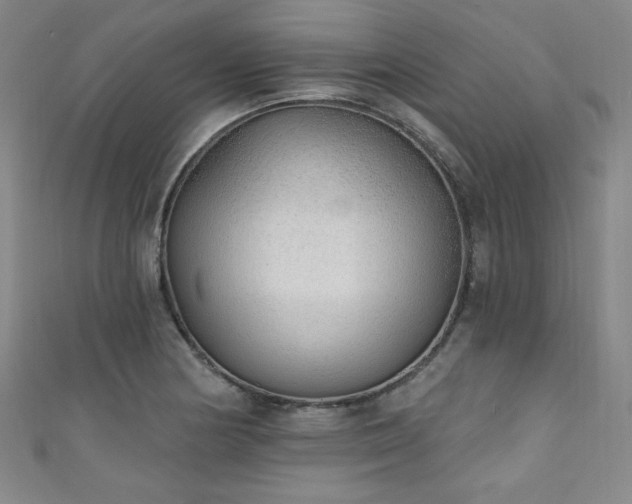 X0000111131178200906301204