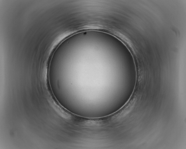 X0000111131179200906301204