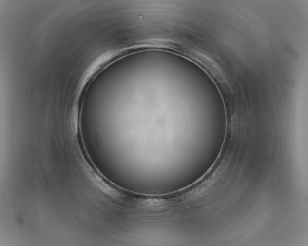 X0000111131180200906301204