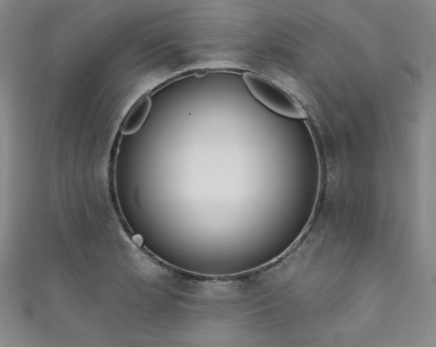 X0000111131181200906301204