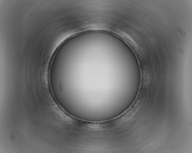 X0000111131182200906301204
