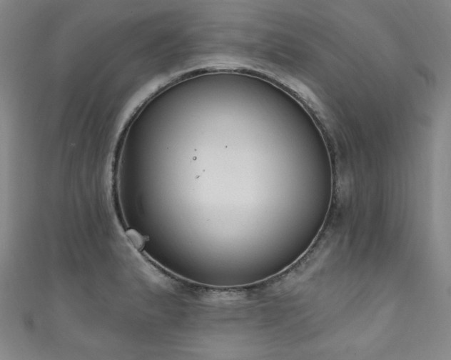 X0000111131183200906301204