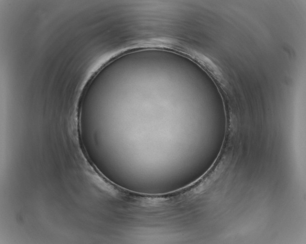 X0000111131184200906301204